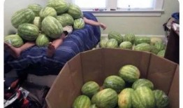 吃瓜--今日大赛完整版 吃瓜网在线观看视频,今日精彩瞬间，完整版视频在线观看